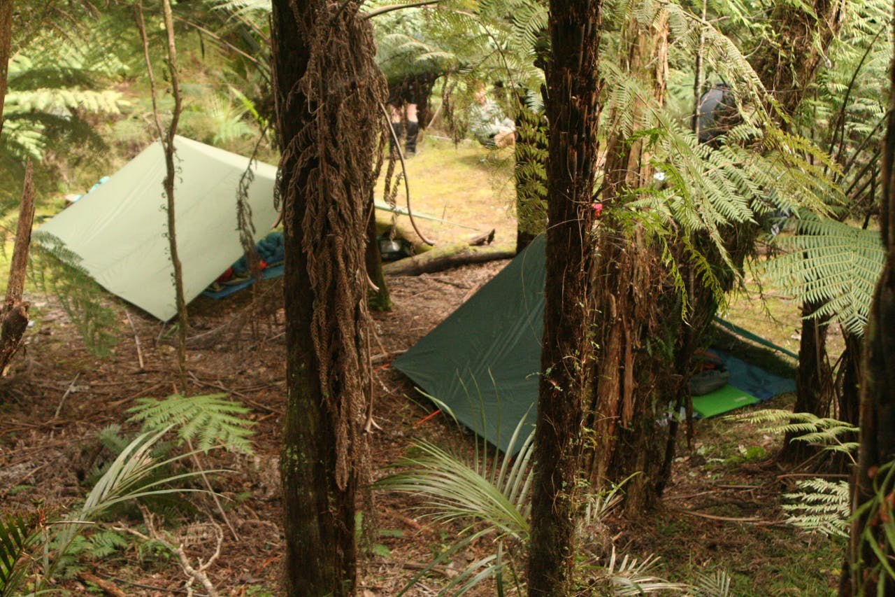Sleeping under flies in the Hunua Ranges was a first for the bushcraft students. Photo: Josh Gale