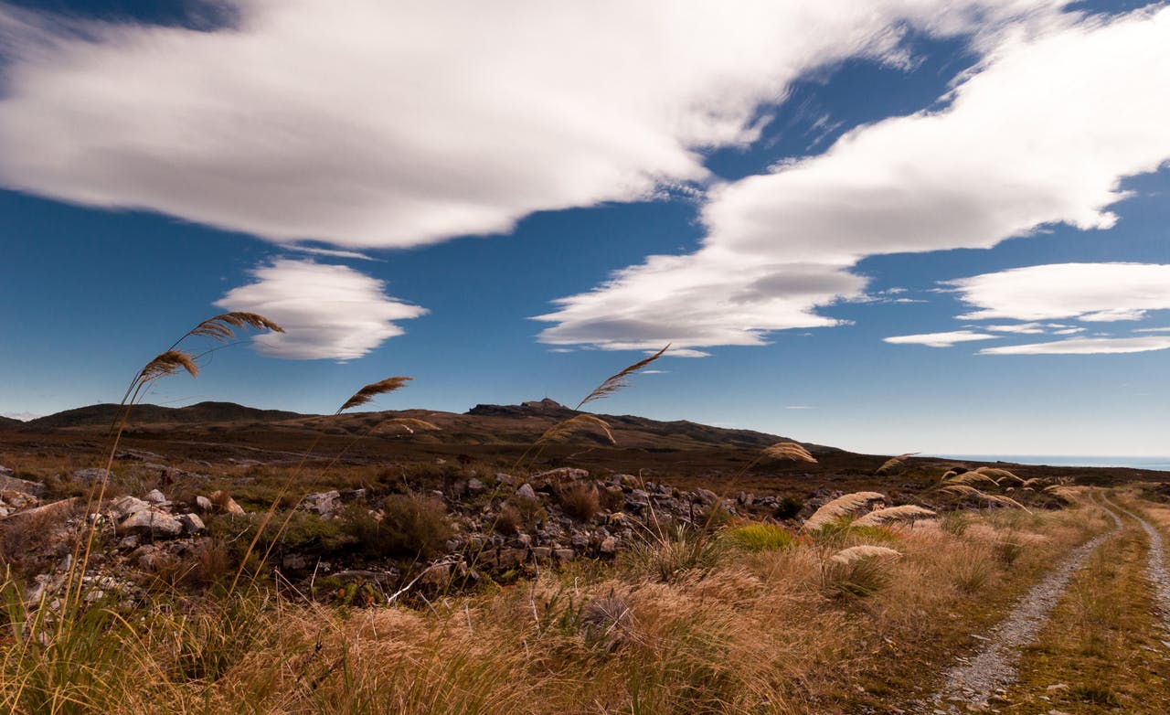 The Denniston Plateau could soon be the site of intensive mining operation/ Photo: Fraser Crichton