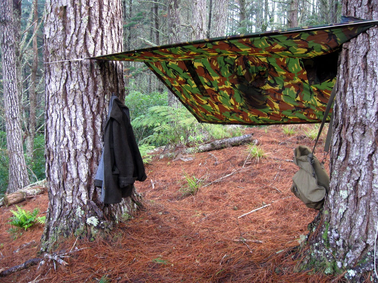 Josh built a shelter with a fire an arm's distance away. Photo: Josh Gale