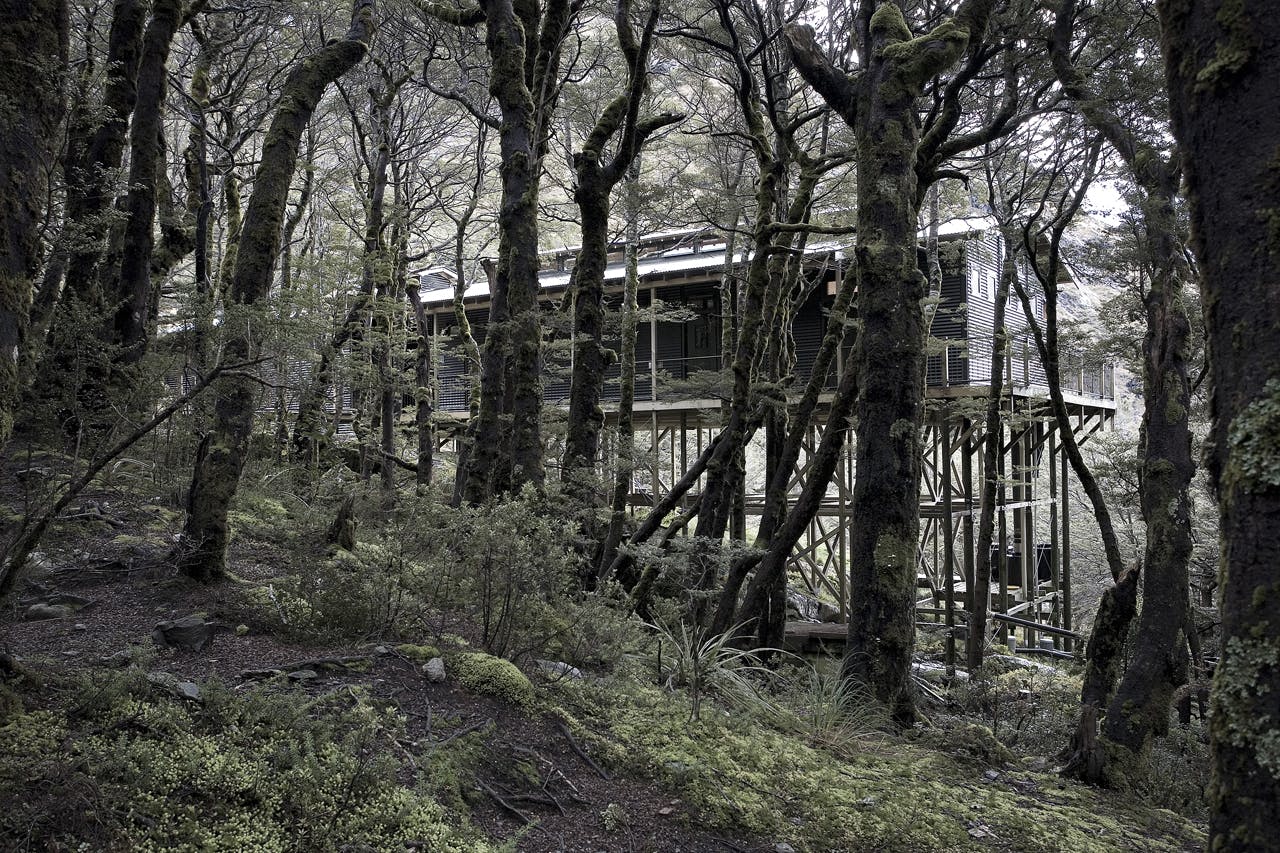 Routeburn Falls Hut