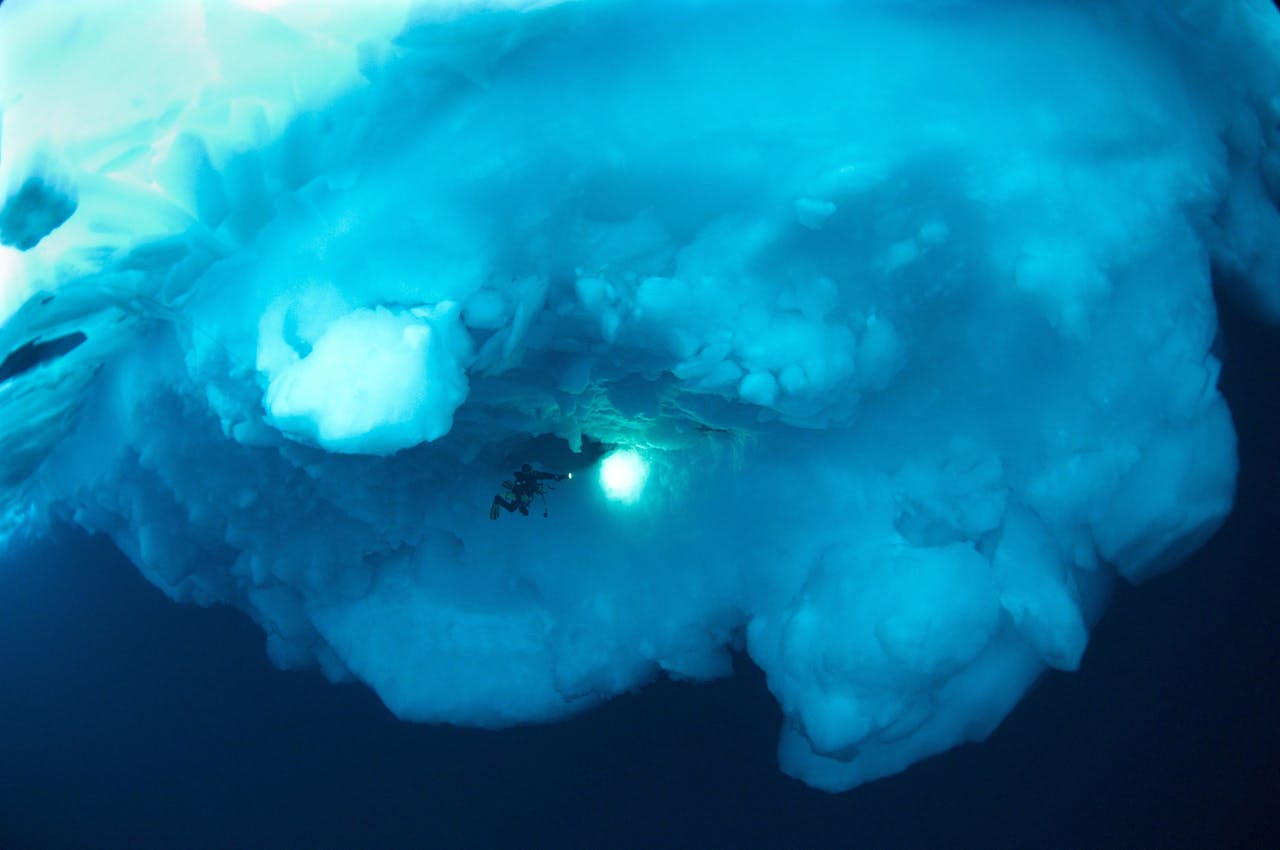 Deepsea Under the Pole