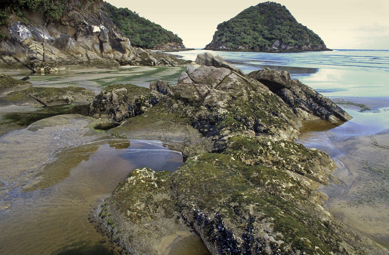 Low tide, Doughboy Bay, Rakiura National Park, Stewart Island