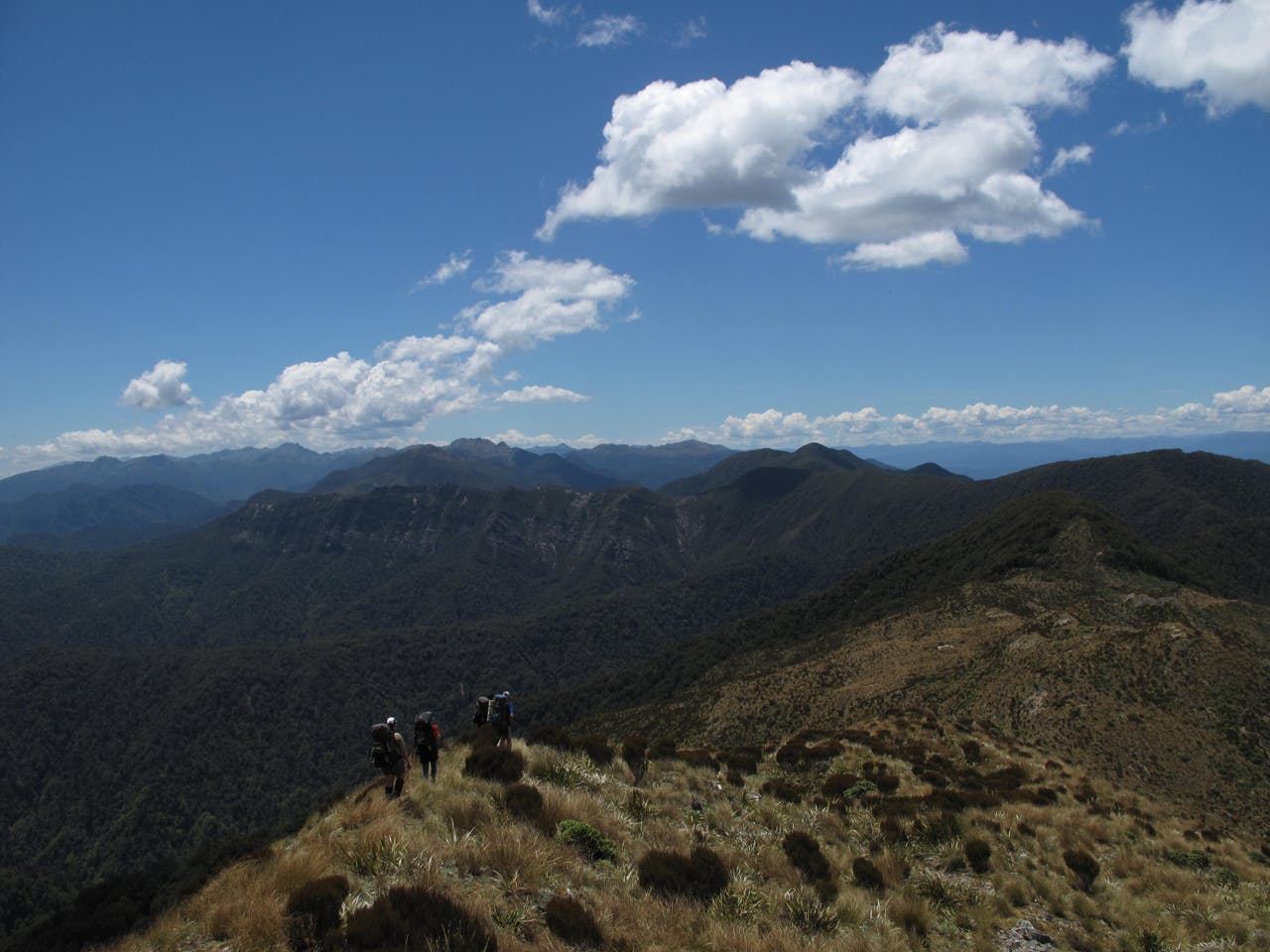 Searching for a campsite on the Paparoa tops. Photo: Richard Davies