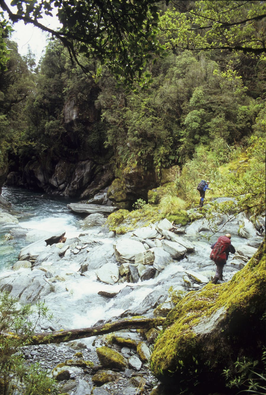 Tramping Toaroha Valley Westland