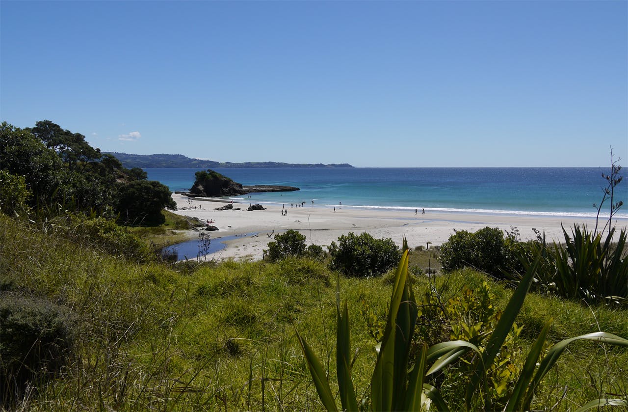 Tawharanui Regional Park, Auckland. Photo: Alistair Hall