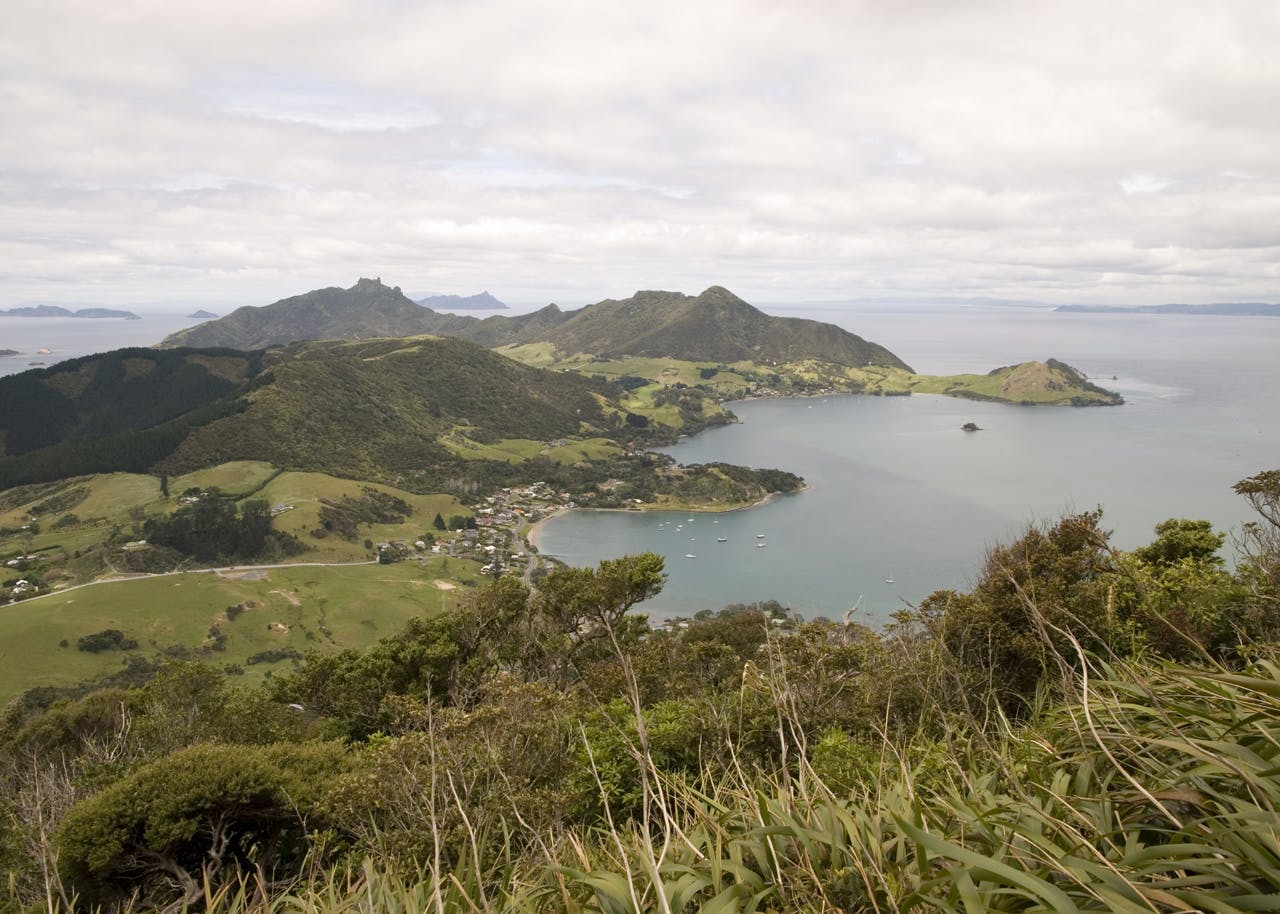 View to Bream Head from Manaia (420m)