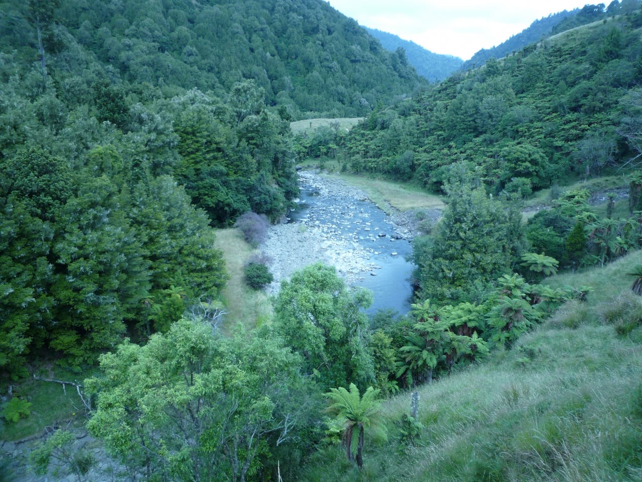 Koranga Stream. Photo supplied