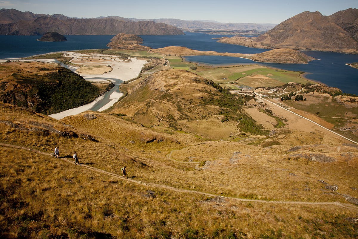 Diamond Lake Track above Lake Wanaka. Photo: Nick Groves