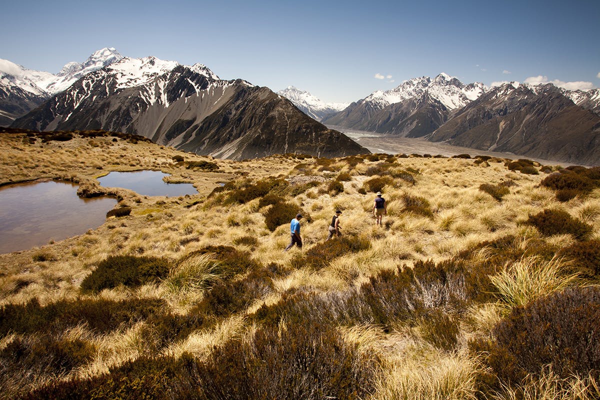 Mt Cook and Tasman Valley from above Red Tarns. Photo: Nick Groves