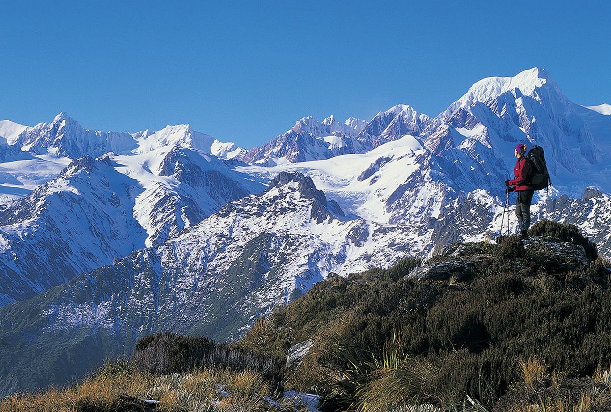 On Mt Fox with Mt Tasman and upper Fox Glacier above. Photo: Nick Groves