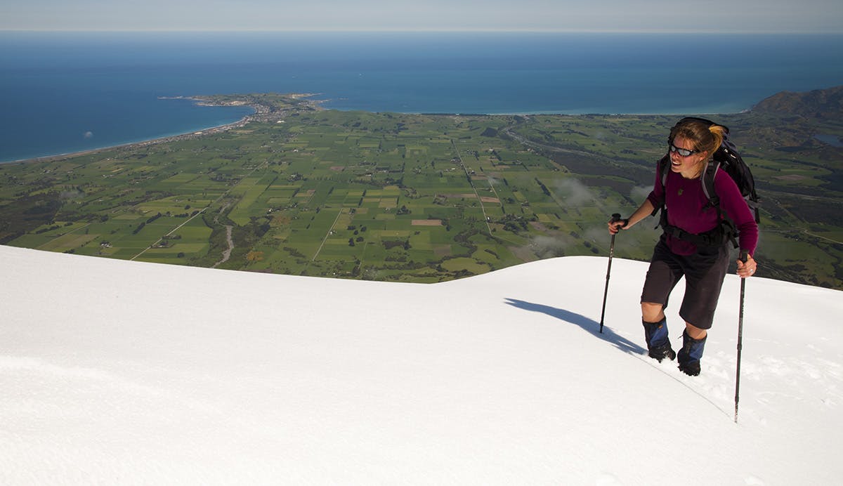 On Mount Fyffe with Kaikoura Peninsula below. Photo: Nick Groves