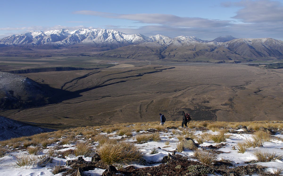 The expansive Hakatere Basin from Mt Guy, with the snowy Taylor Range behind. Photo: Geoff Spearpoint