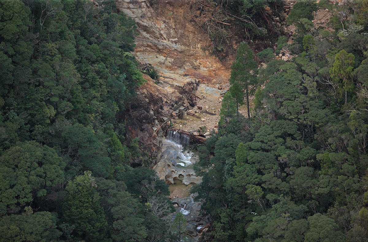 The historic kauri dam on Great Barrier Island was completely destroyed. Photo: DOC