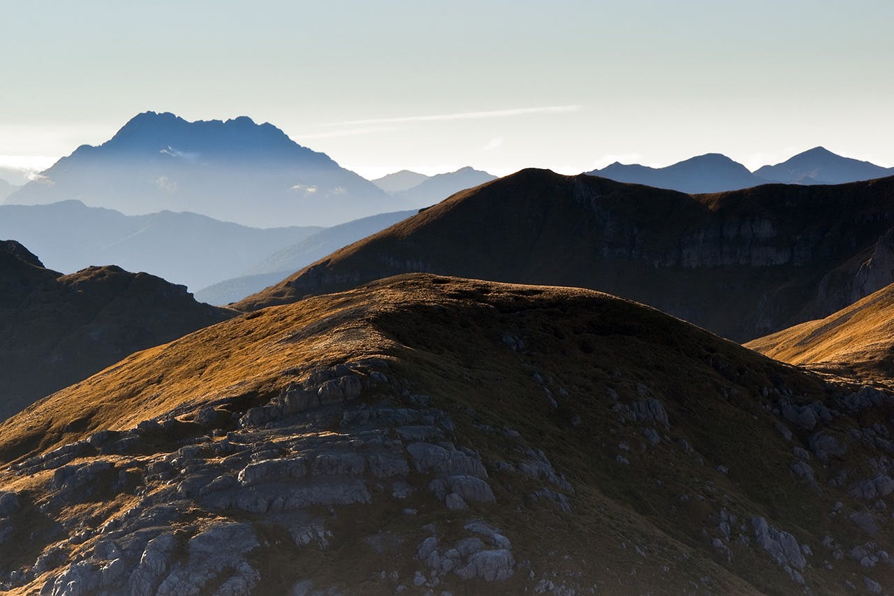 Get above the bushline for better light and compositions. Photo: Ray Salisbury