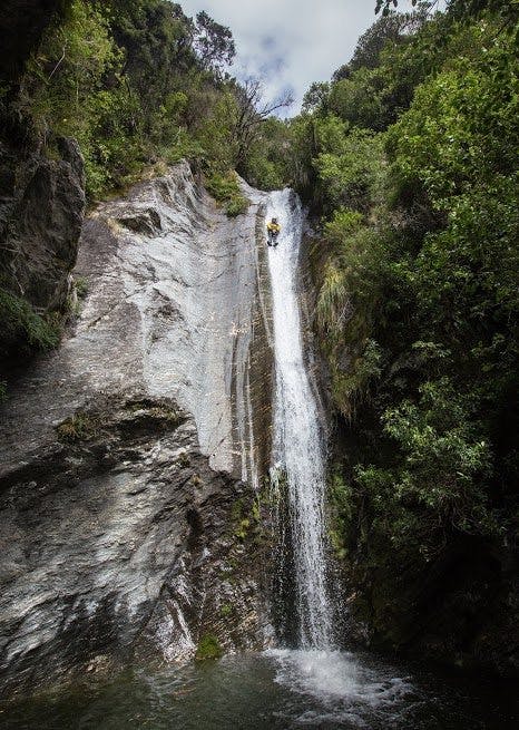 An impressive waterfall in lower Swamp Creek. Photo: Neil Silverwood