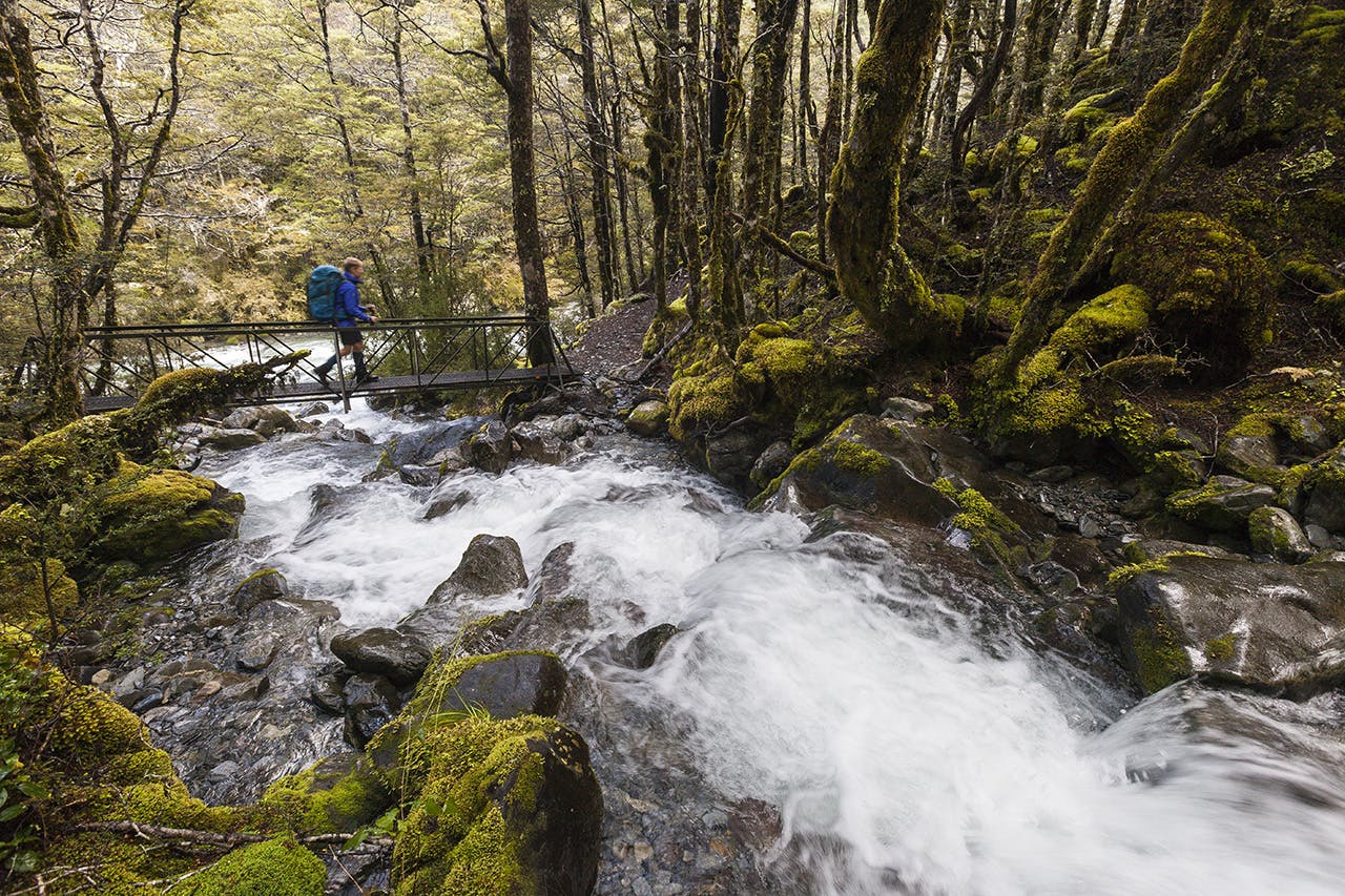 Tumbling rivers and gorgeous beech – must be the Routeburn, right? Nope, it’s the Travers-Sabine Circuit. Photo: Mark Watson