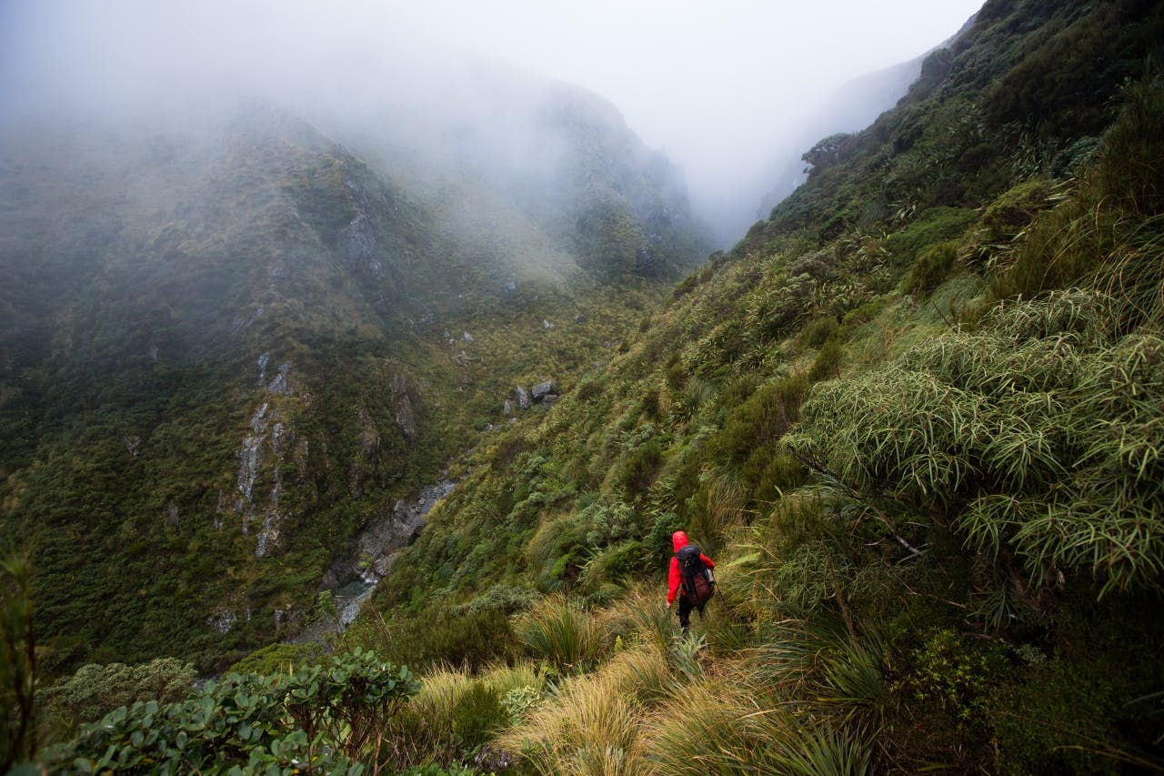 Cloud and rain at the head of the Toaroha