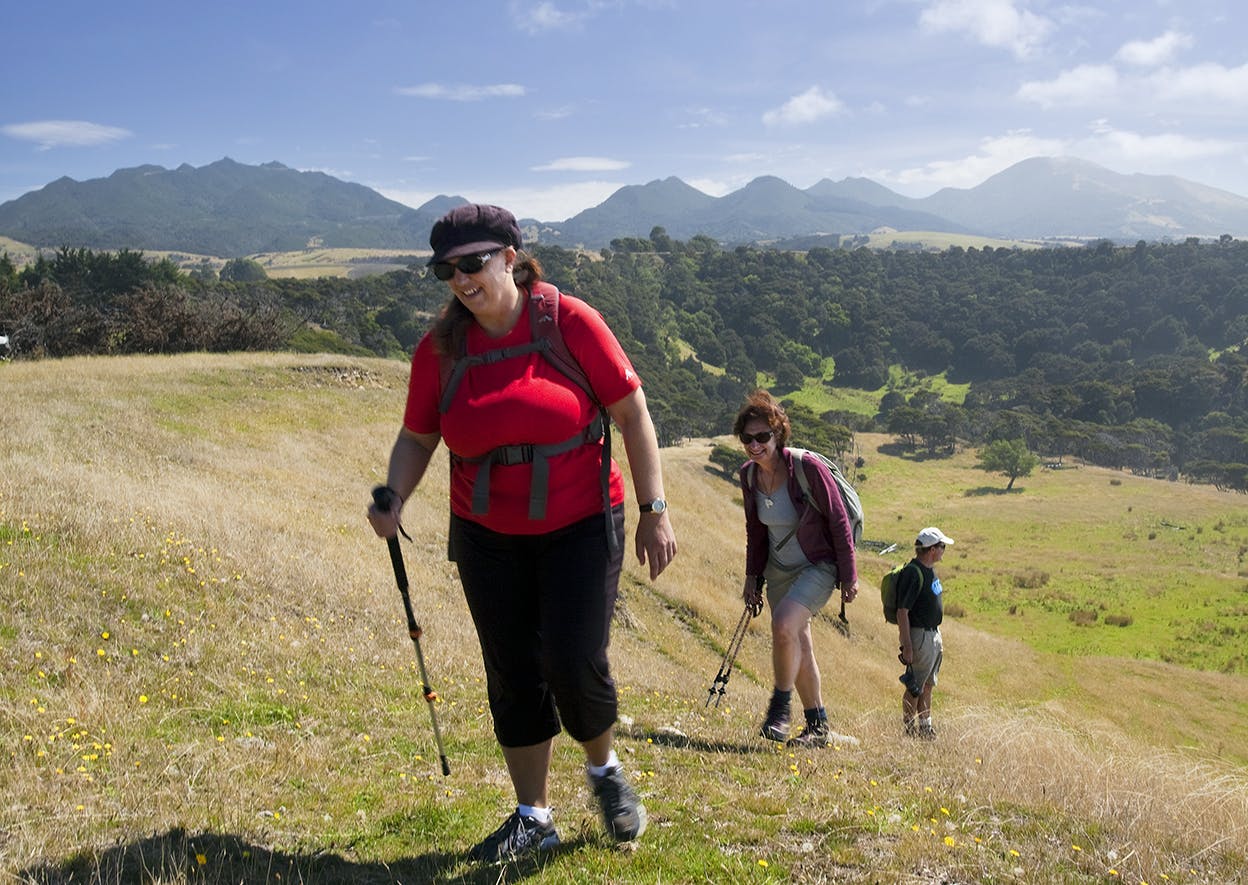 Climbing to the cliff tops on Medina Station. Photo: Ray Salisbury