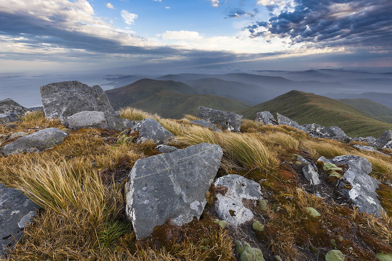 Great views towards Rakiura’s interior from Mt Anglem. Photo: Mark Watson
