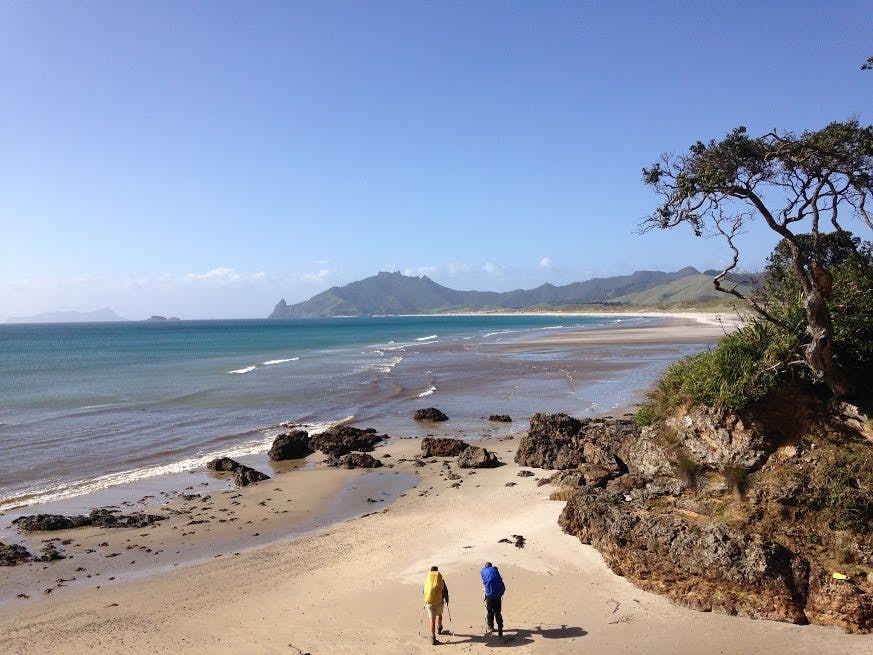 A wild coast contains a treasure trove of washed-ashore goodies. Photo: Kylie Lang