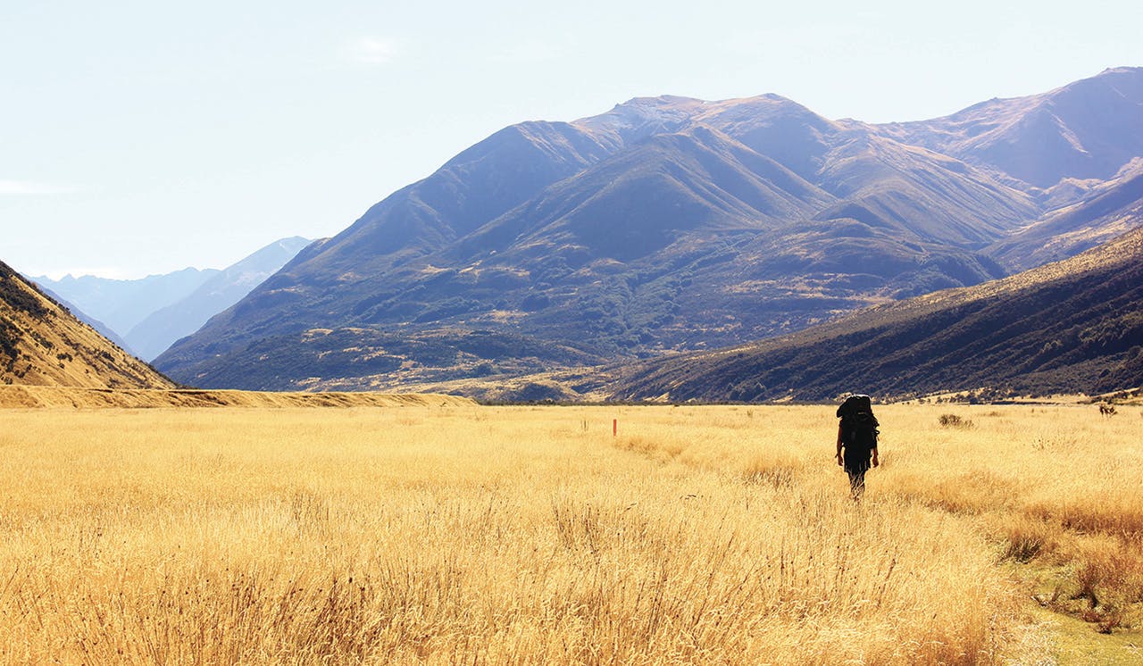 The timeless landscape of the Canterbury high country. Photo: Supplied