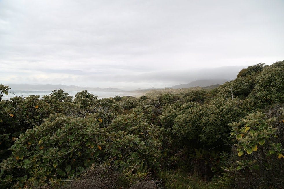 looking towards Mason Bay. Photo: Alistair Hall