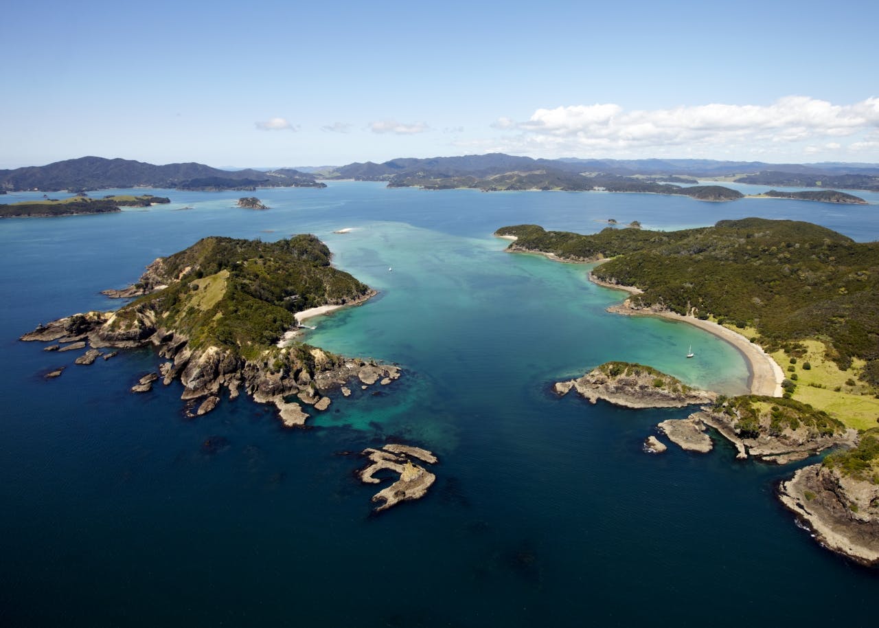 Moturua Island and Motukiekie Island