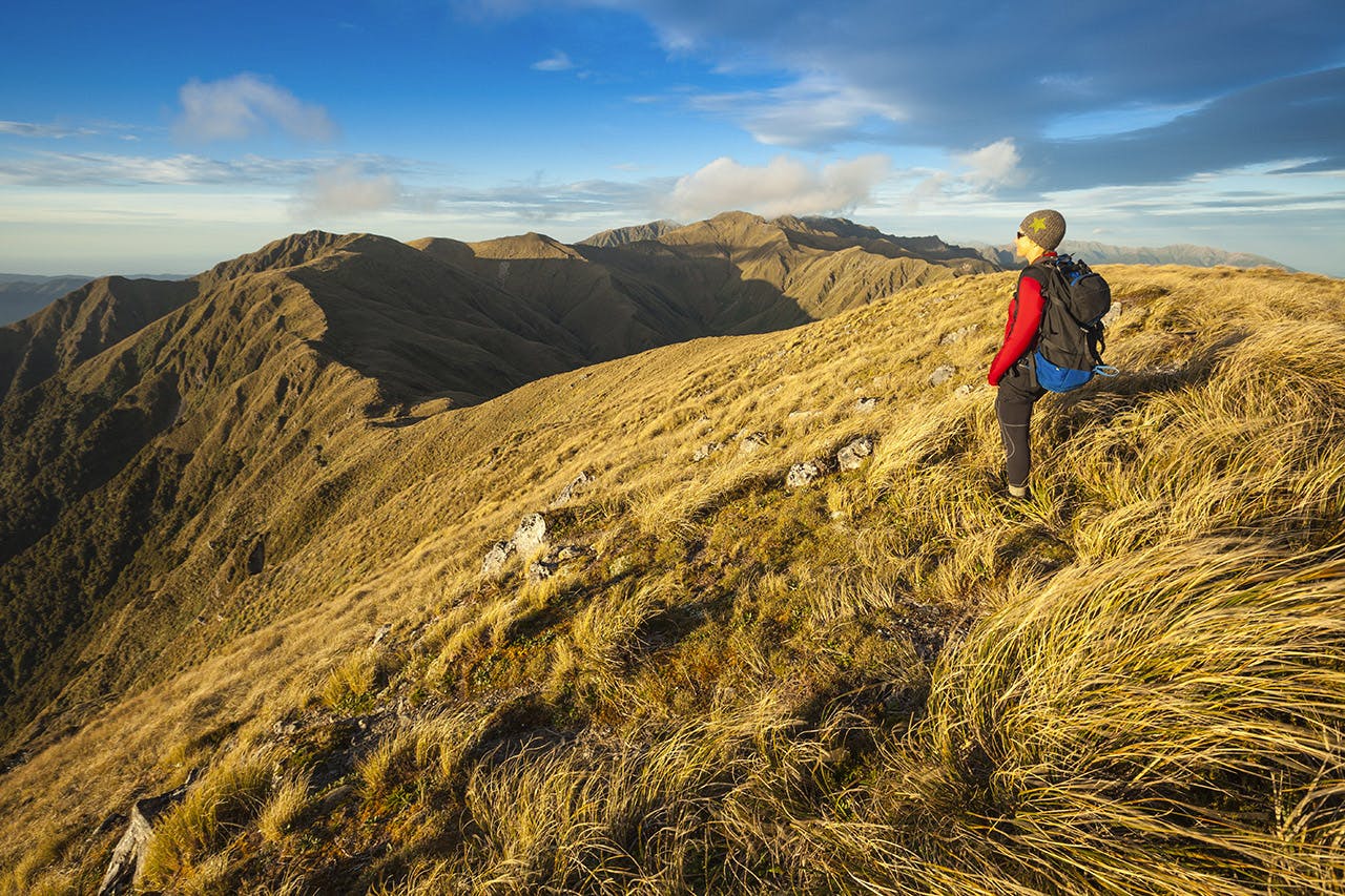View along the Tararua’s Dress Circle towards Mt Hector. Photo: Mark Watson