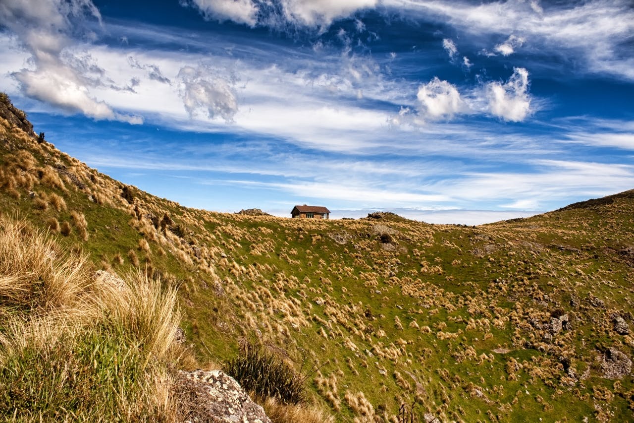 Packhorse Hut_Celia Mendes