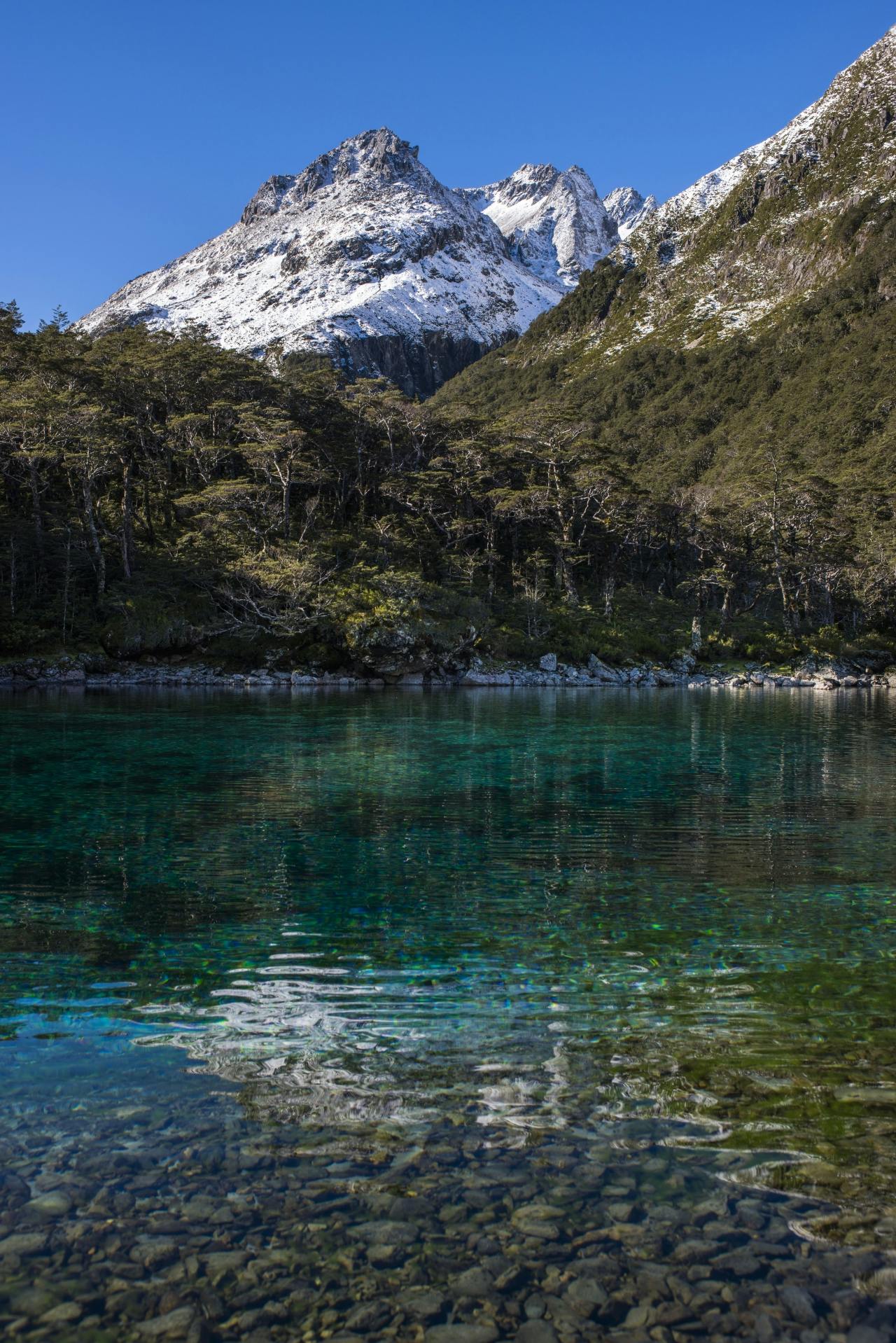 The crystal clear Blue Lake with Franklin Range beyond