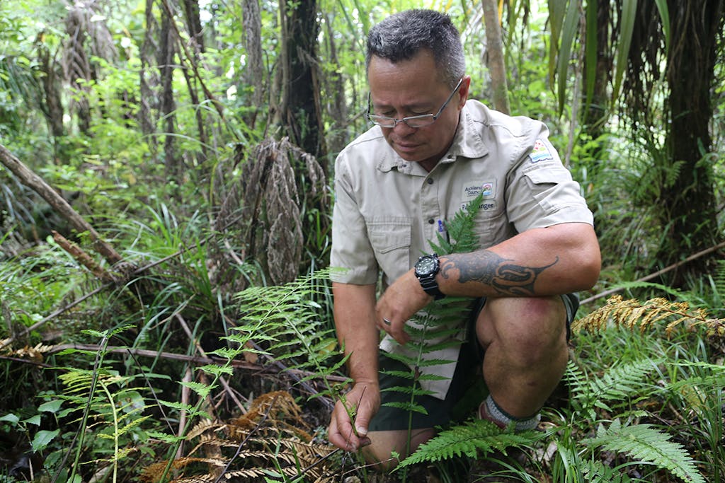 Riki Bennett wants to teach more people how to forage. Photo: Meghan Walker