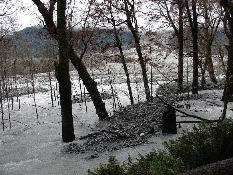 A flooding Dart River has caused extensive damage. Photo: DOC