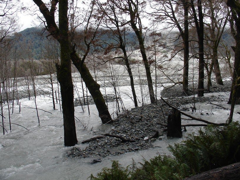 A flooding Dart River has caused extensive damage. Photo: DOC 