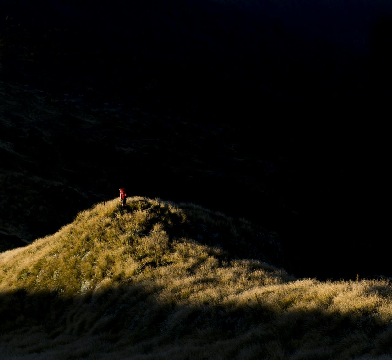 Shadowlands - unless DOC renegotiates access, large tracts of the Ruahines are essentially off-limits. Photo: Jonathan Astin