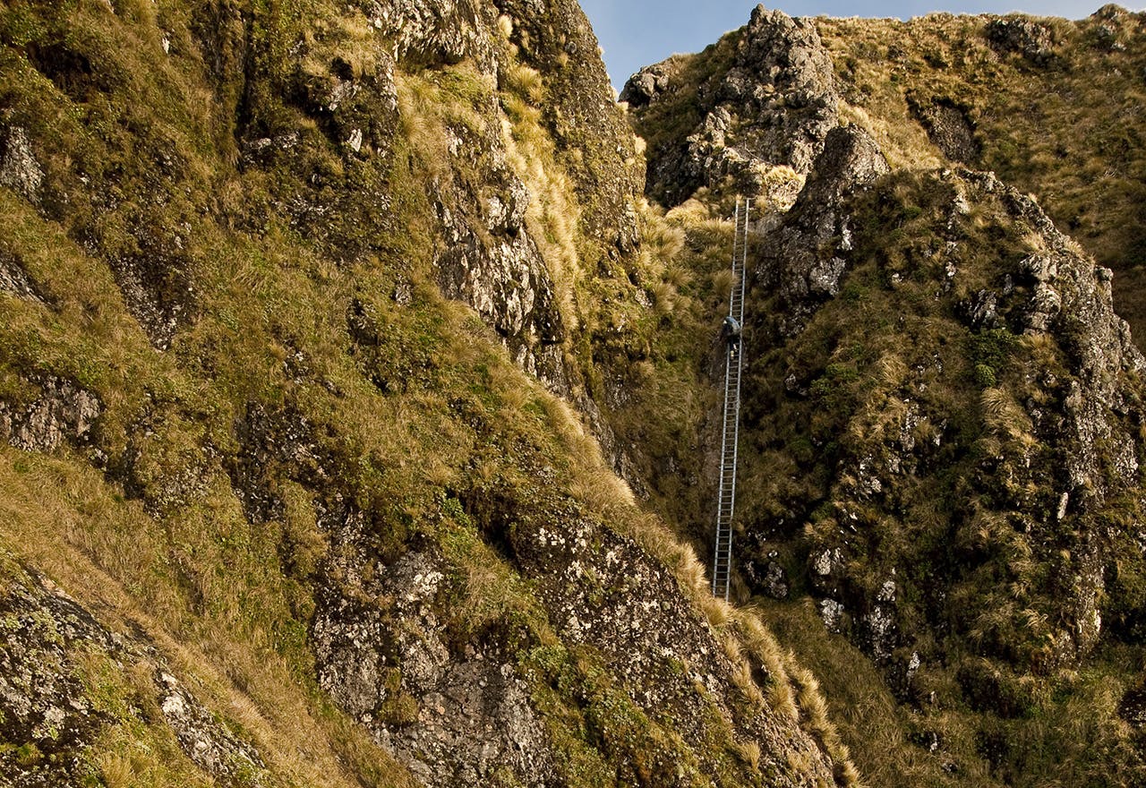 Trampers on Tararua Peaks ladder. Photo: Shaun Barnett/Black Robin Photography