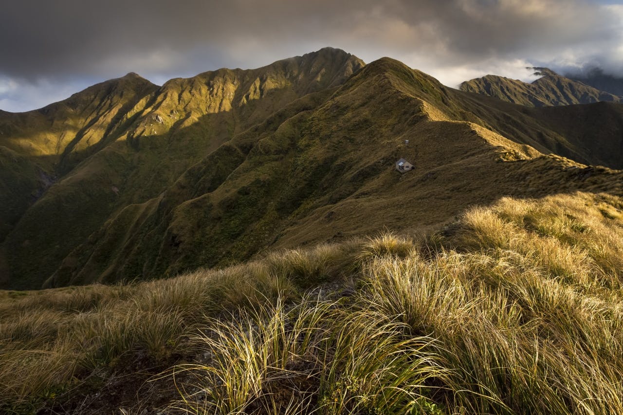 Tarn Ridge Hut_Mark Watson