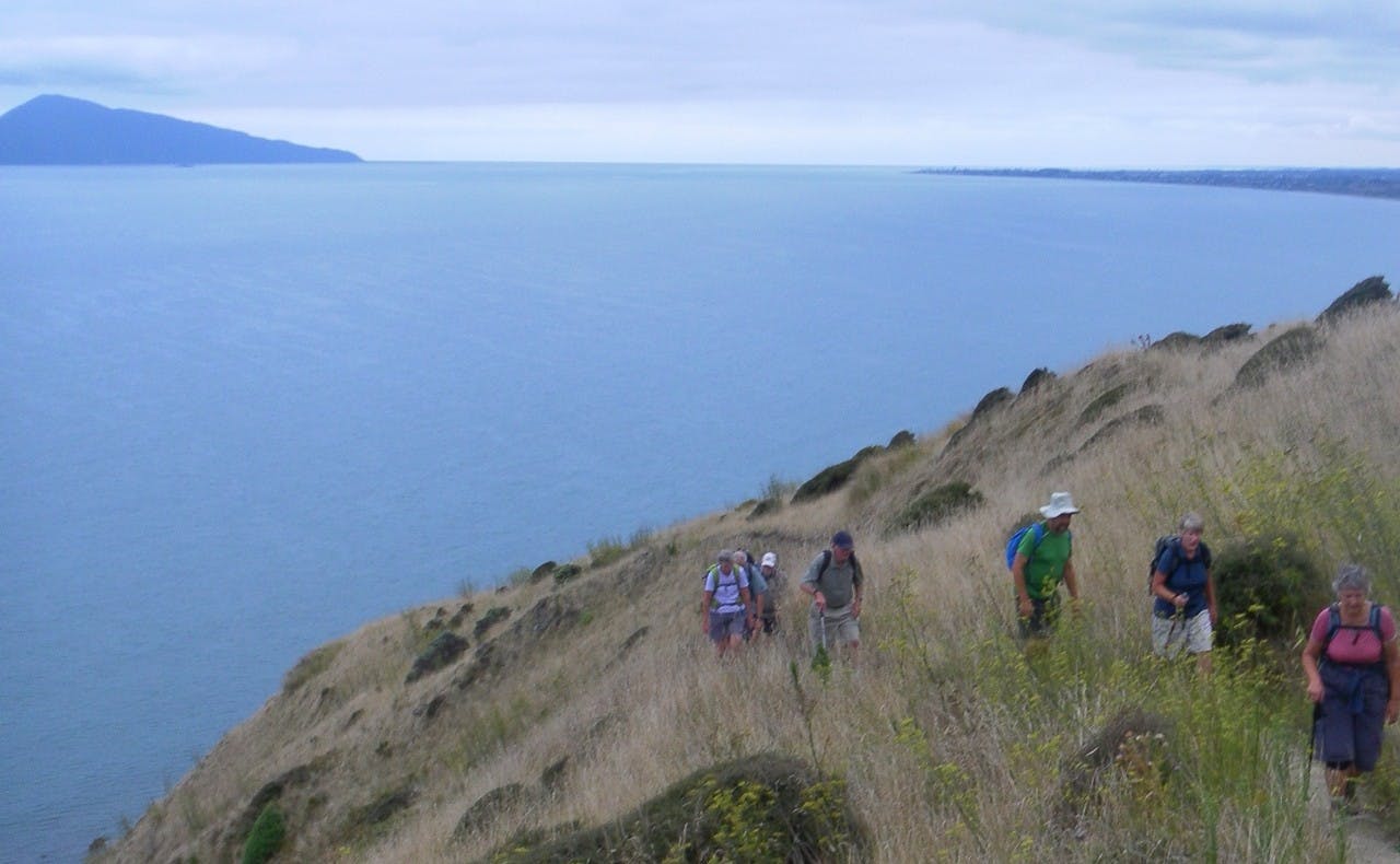 Walkers Trying out a new part of the Te Araroa Tail between Paekakariki and Pukerua bay.