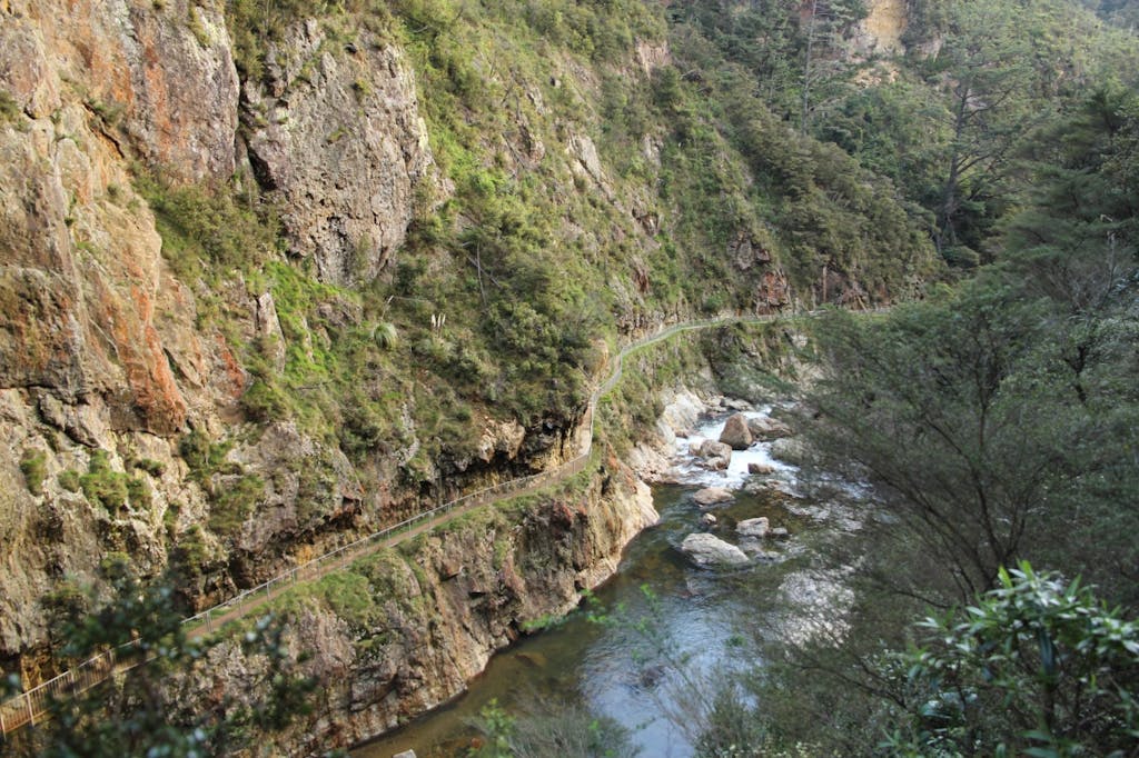 The Windows Walk in Karangahake Gorge is a popular track. Photo: Alison Thomas, Creative Commons 