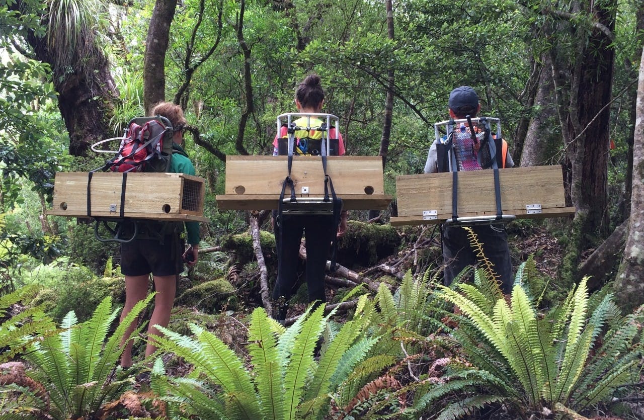 Volunteers pose with traps before setting off the place and set them