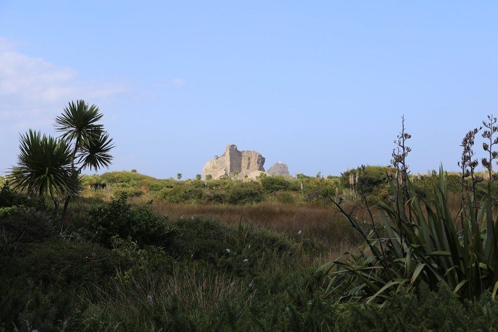 Looking across the now-vegetated sand field from the caves to Cutter and Ninepin rocks, Whatipu. Photo: Matthew Pike