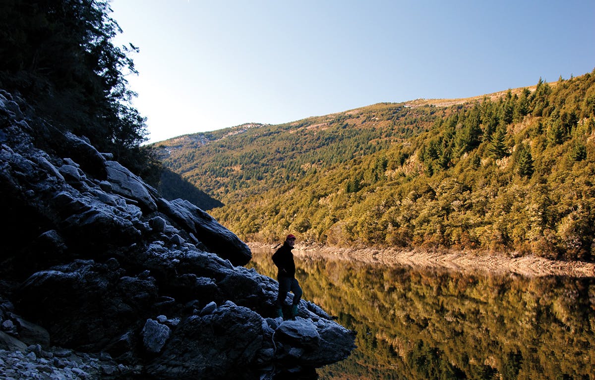The author explores his local lake in Mt Richmond Forest. Photo: Ray Salisbury