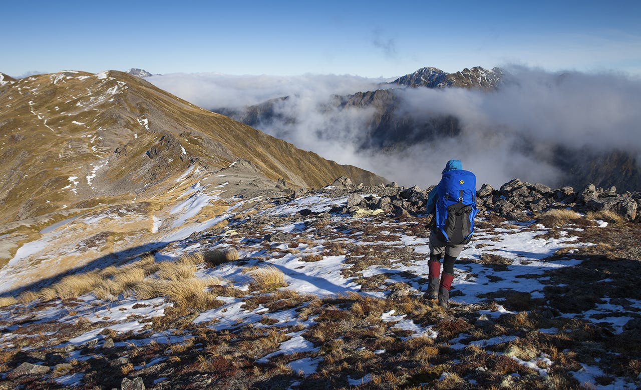 On the Zampa Tops, Lewis Pass National Reserve. Photo: Mark Watson
