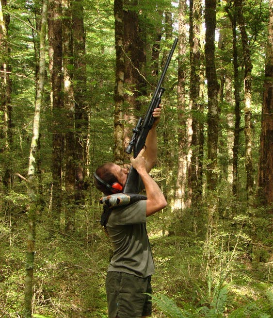 Joris Tinnemans takes aim at another branch. Photo: DOC