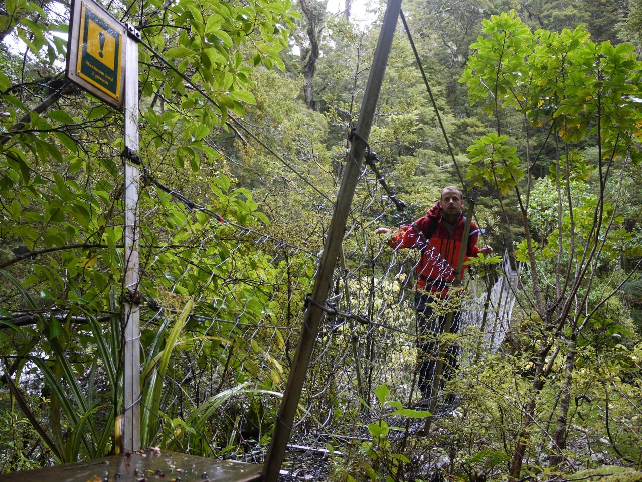 There are four Forest Service swingbridges on the Catlins River-Wisp Loop