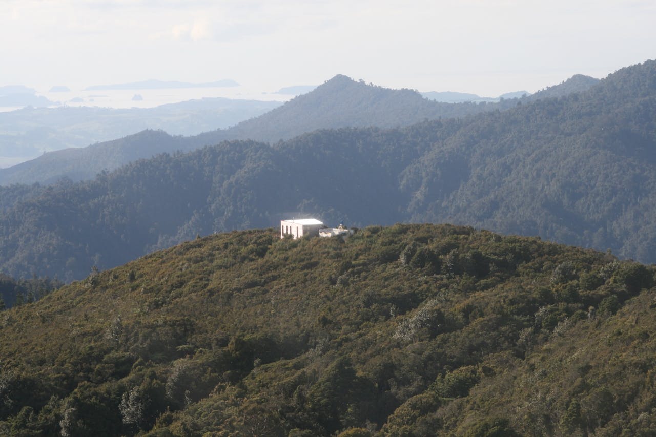 Crosbies Hut and campsite