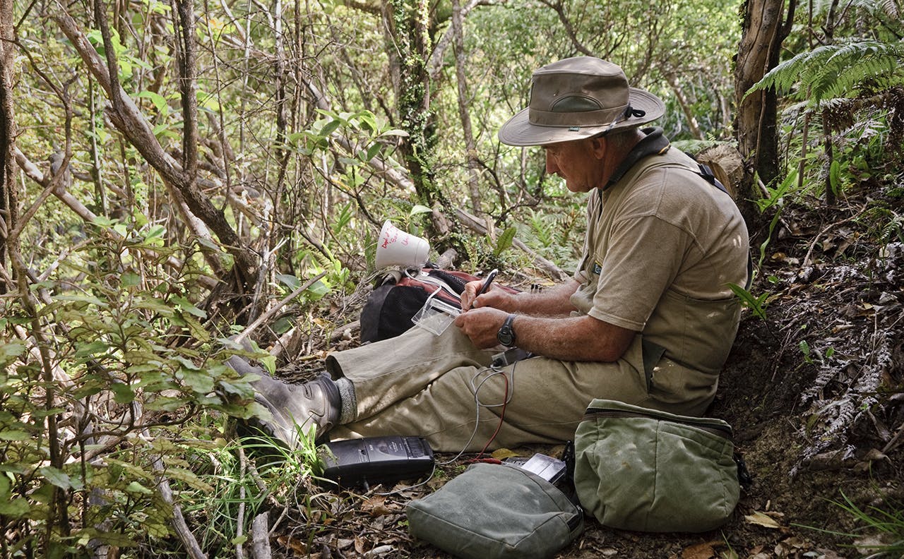 The latest restructure is said to target ‘paper-pushers’ and ‘bureaucrats’, but no-one within DOC Wilderness spoke to said that is an adequate description of programme managers. Photo: John Bown