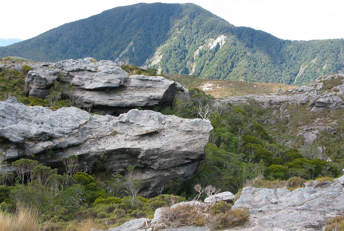 Trampers are being urged to report any potential breaches of Bathurst Resources mining consent on Denniston Plateau. Photo: Debs Martin