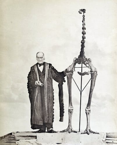 Sir Richard Owen with a Giant Moa skeleton in 1879. Photo: John van Voorst