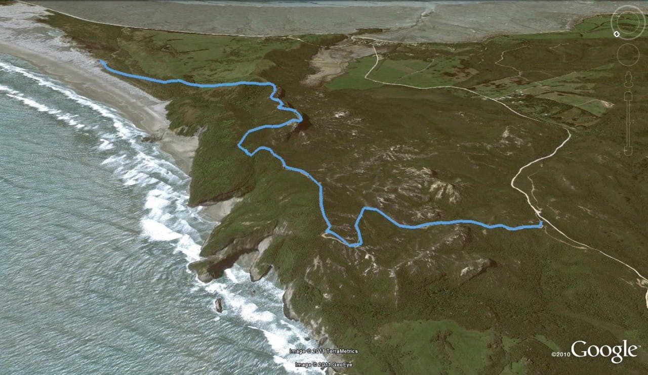Fossil Point, Golden Bay - Hiking & Tramping in NZ - Wilderness Magazine