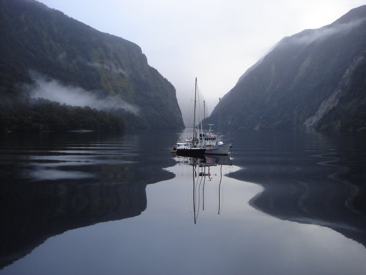 Hall Arm in Doubtful Sound. Photo: John Vale